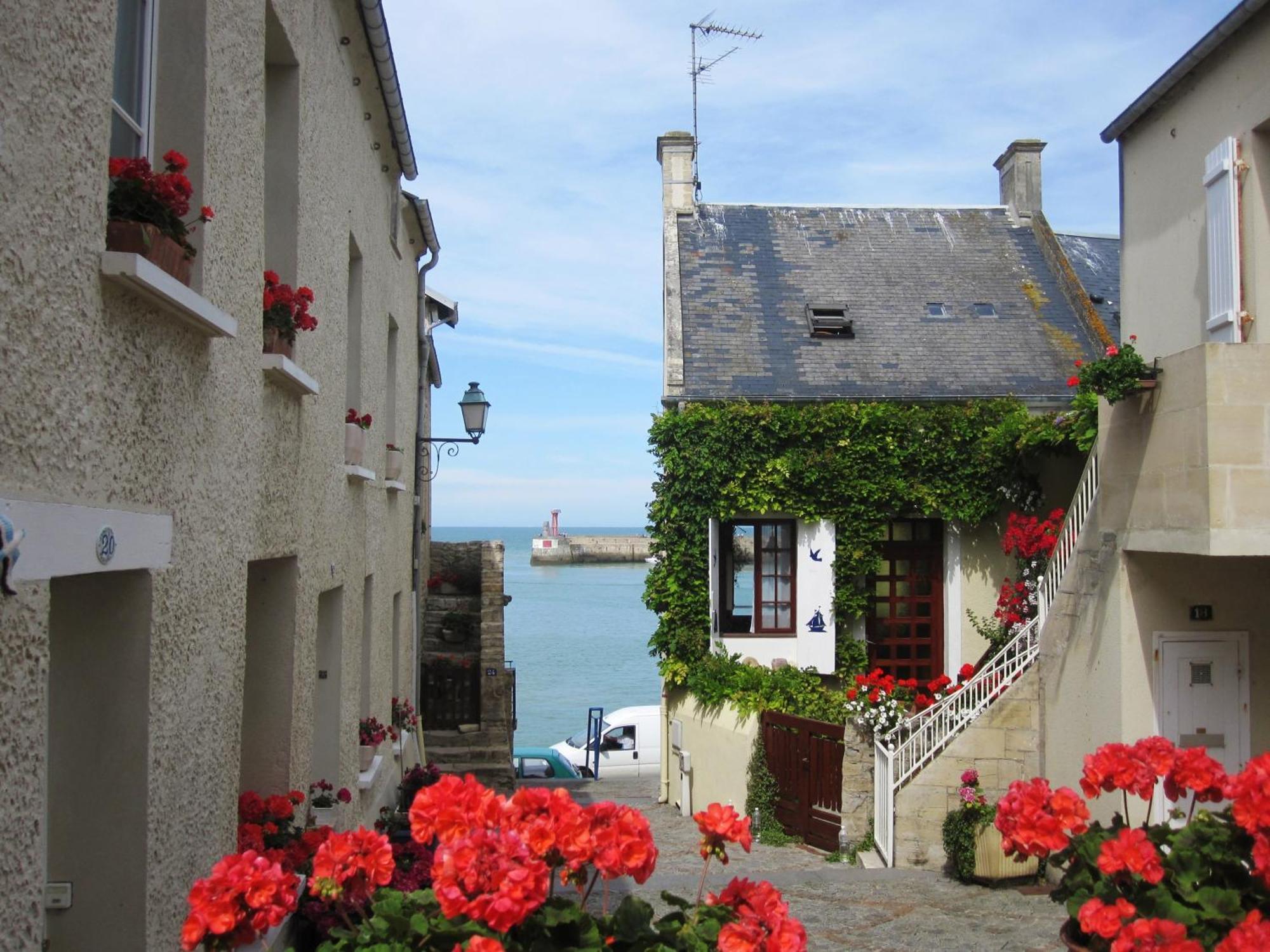 Gite "Au P'Tit Tourois" De Plain-Pied Tout Confort Avec Veranda Proche D'Omaha Beach Et De Bayeux Accueillant Les Animaux Tour-en-Bessin Exterior foto